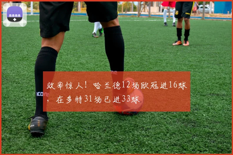 效率惊人！哈兰德12场欧冠进16球，在多特31场已进33球