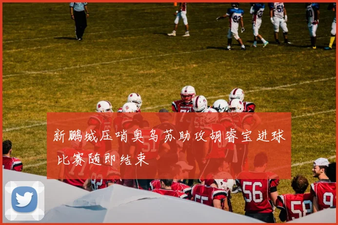 新鹏城压哨奥乌苏助攻胡睿宝进球 比赛随即结束