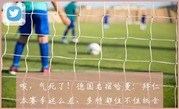 唉，气死了！德国名宿哈曼：拜仁本赛季这么差，多特都住不住机会