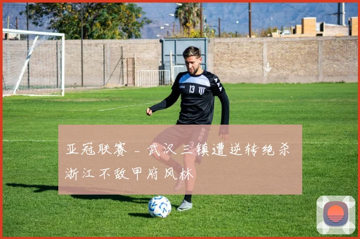 亚冠联赛 _ 武汉三镇遭逆转绝杀 浙江不敌甲府风林