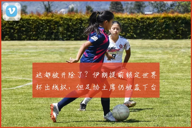 这都被开除了？伊朗提前锁定世界杯出线权，但足协主席仍被轰下台