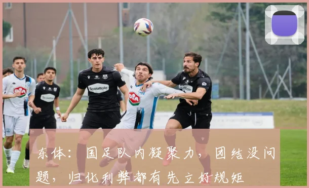 东体：国足队内凝聚力，团结没问题，归化利弊都有先立好规矩
